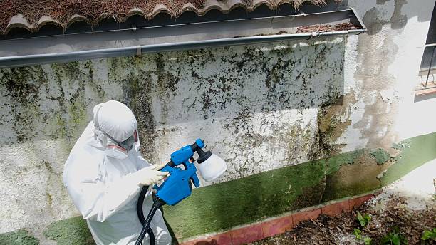 Trusted Mold Remediation service in Myerstown, PA - Cheap Mold Removal